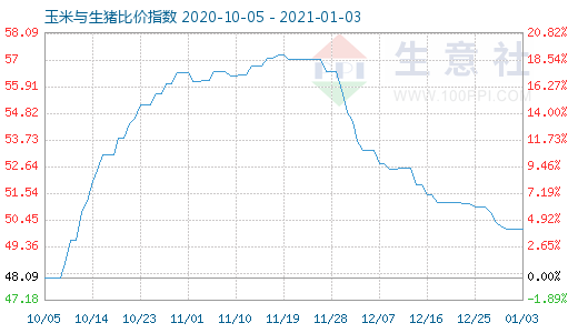 1月3日玉米与生猪比价指数图