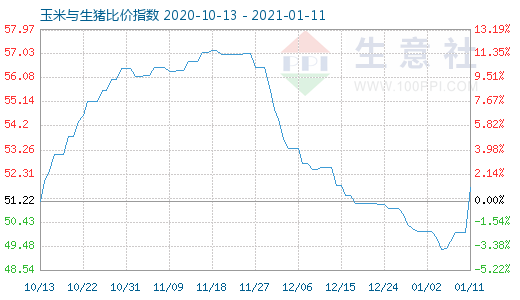 1月11日玉米与生猪比价指数图