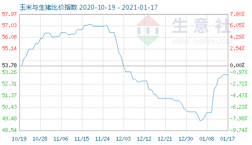 1月17日玉米与生猪比价指数图