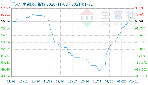 1月31日玉米与生猪比价指数图