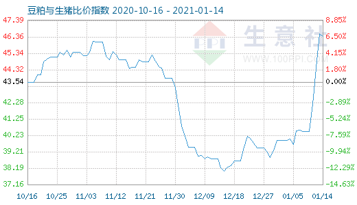 1月14日豆粕与生猪比价指数图