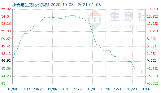 1月6日小麦与生猪比价指数图