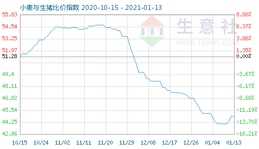 1月13日小麦与生猪比价指数图