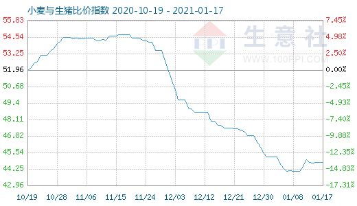 1月17日小麦与生猪比价指数图