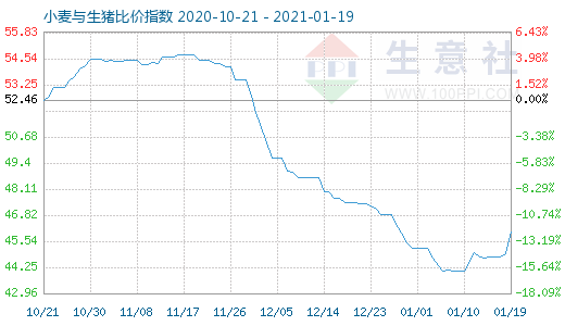 1月19日小麦与生猪比价指数图