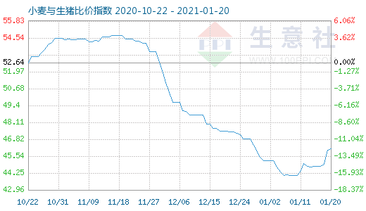 1月20日小麦与生猪比价指数图