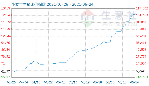 6月24日小麦与生猪比价指数图