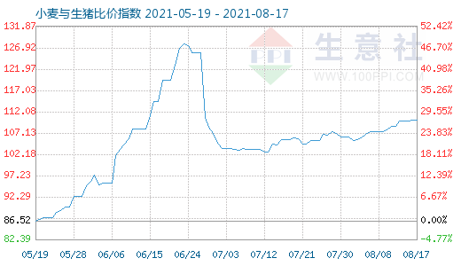8月17日小麦与生猪比价指数图