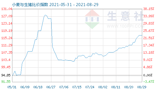 8月29日小麦与生猪比价指数图