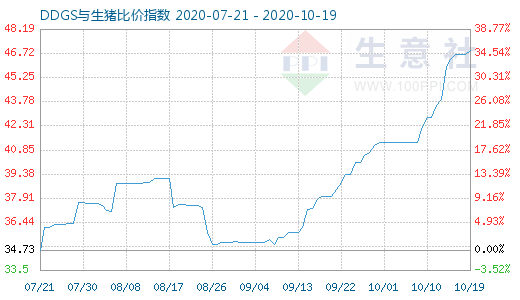 10月19日DDGS与生猪比价指数图
