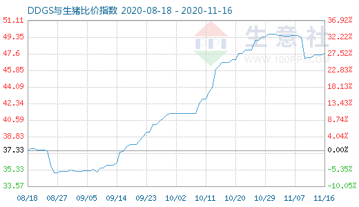 11月16日DDGS与生猪比价指数图