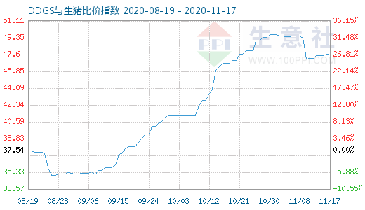 11月17日DDGS与生猪比价指数图