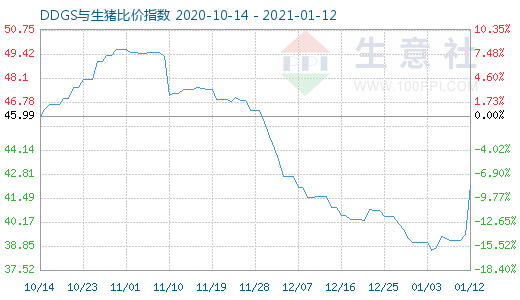 1月12日DDGS与生猪比价指数图