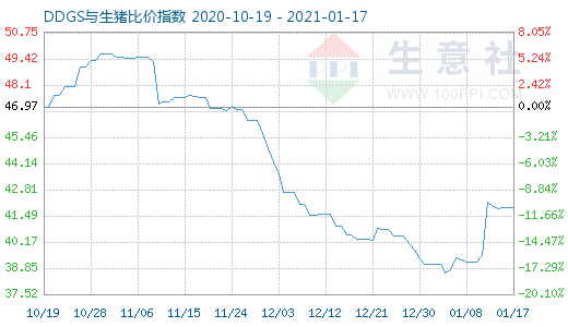 1月17日DDGS与生猪比价指数图