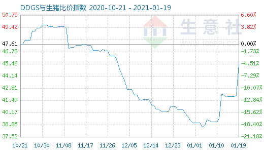 1月19日DDGS与生猪比价指数图