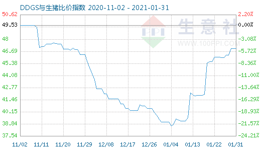 1月31日DDGS与生猪比价指数图