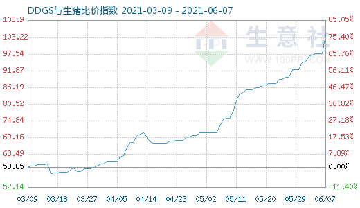 6月7日DDGS与生猪比价指数图
