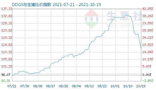10月19日DDGS与生猪比价指数图